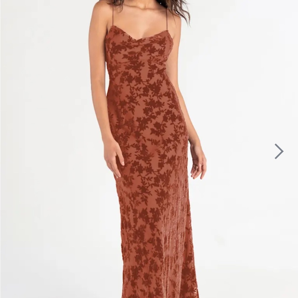 Jenny Yoo English Rose Rory Velvet Floral Burnout